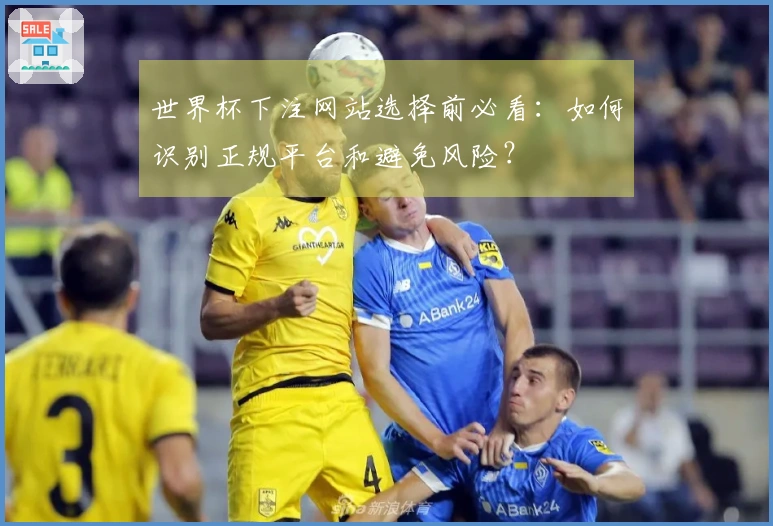 世界杯下注网站选择前必看：如何识别正规平台和避免风险？