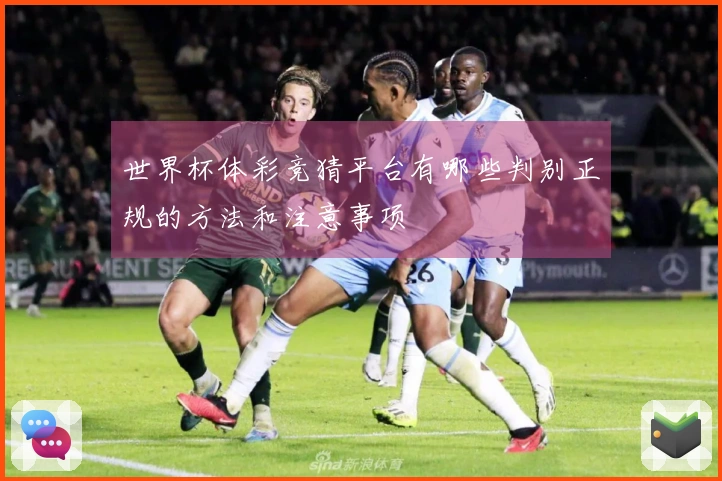 世界杯体彩竞猜平台有哪些判别正规的方法和注意事项