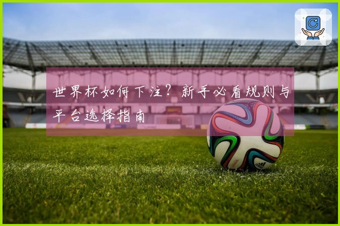 世界杯如何下注？新手必看规则与平台选择指南