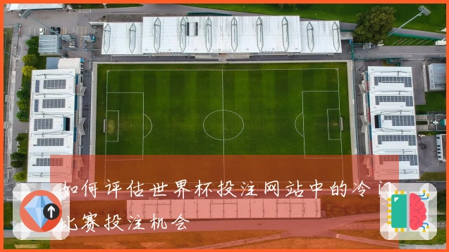 如何评估世界杯投注网站中的冷门比赛投注机会