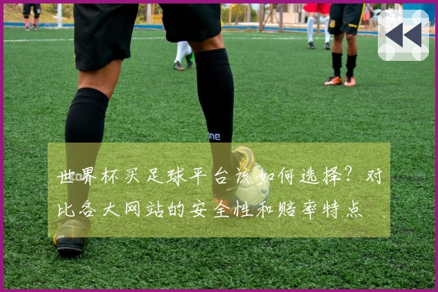 世界杯买足球平台该如何选择？对比各大网站的安全性和赔率特点
