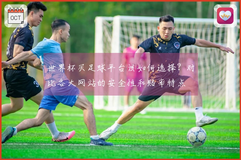 世界杯买足球平台该如何选择？对比各大网站的安全性和赔率特点