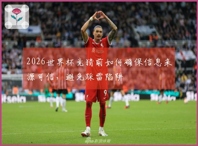 2026世界杯竞猜前如何确保信息来源可信，避免踩雷陷阱